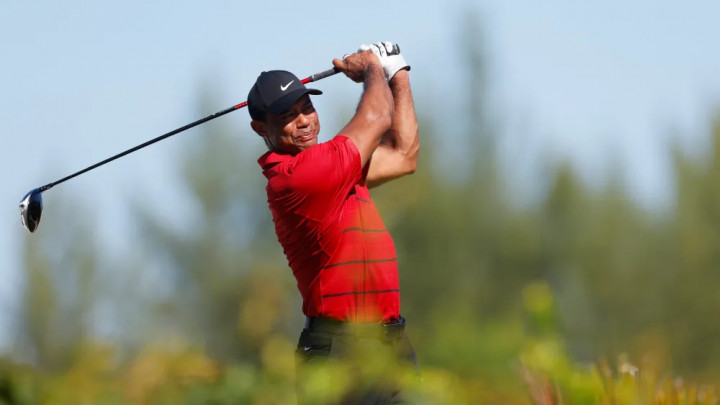 Tiger Woods không tham dự Hero World Challenge 2024