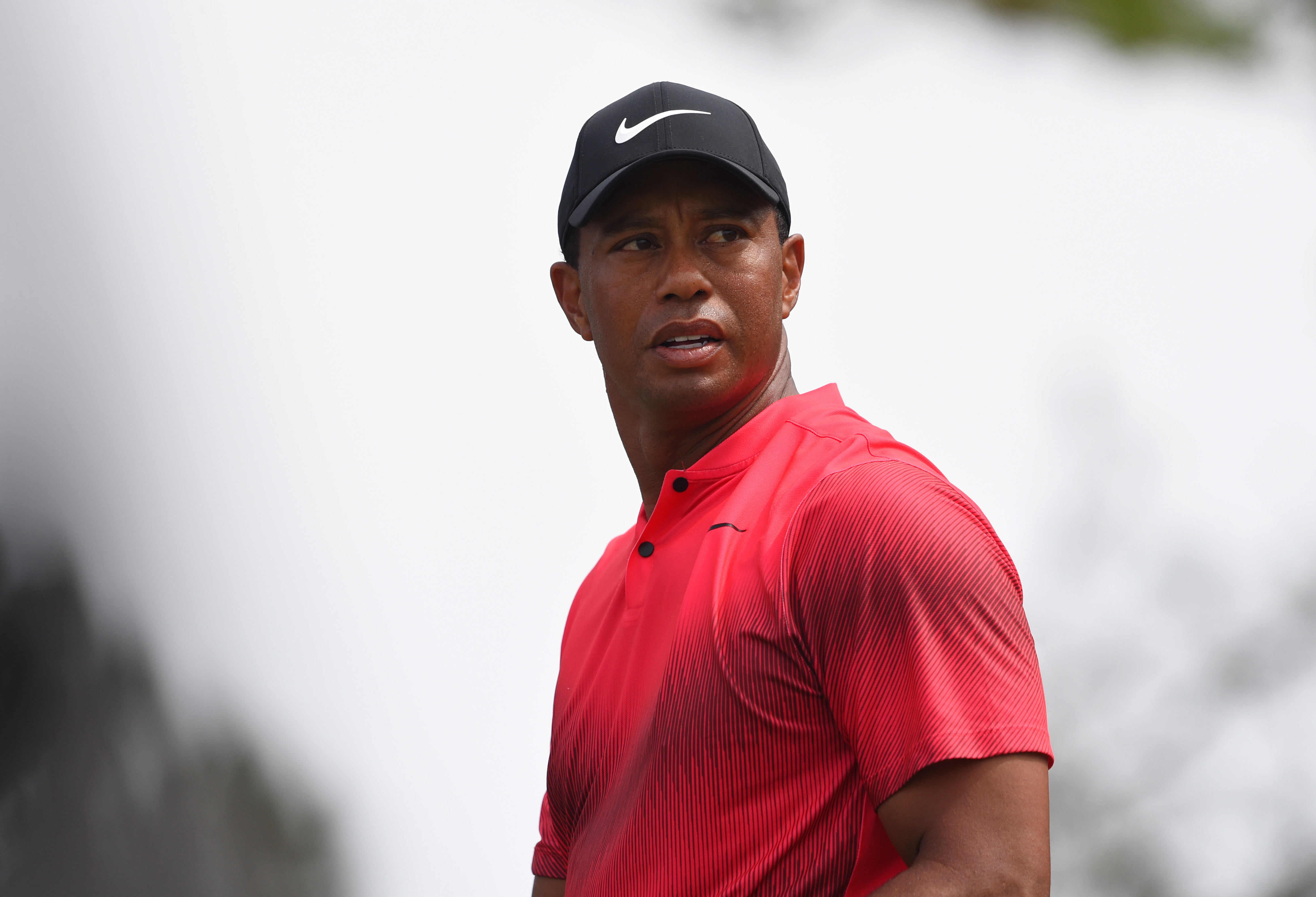 Tiger Woods xác nhận tham dự Memorial Tournament cuối tháng 5