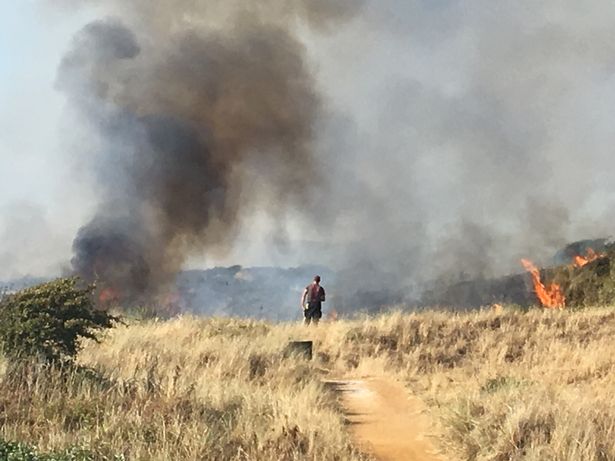 Cháy lớn ở sân golf tại Burnham: Đã phải sử dụng đến máy bay chuyên dụng để dập lửa