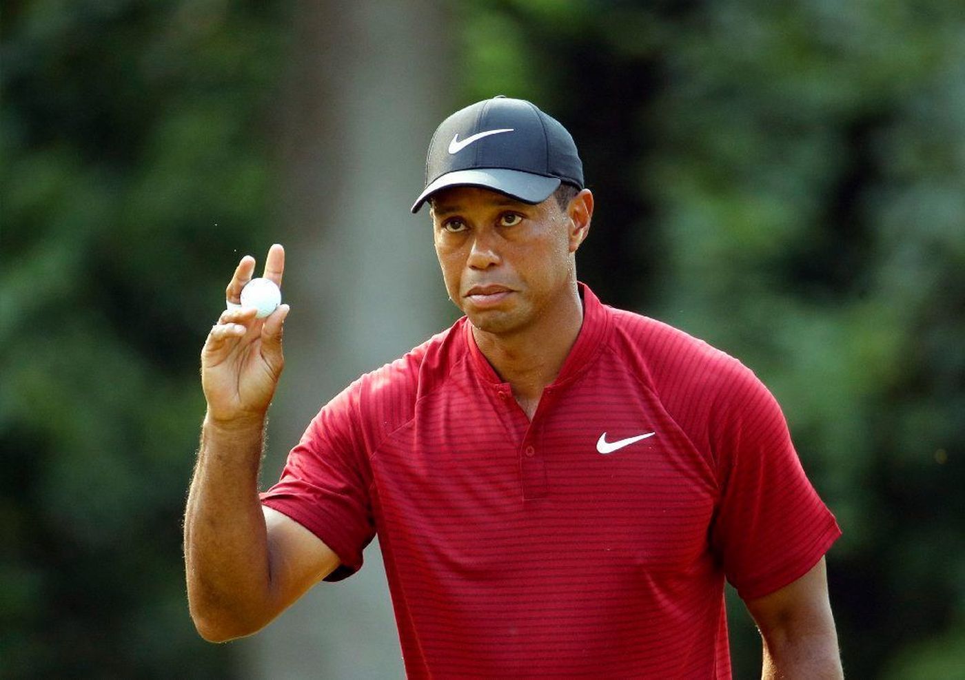 Tiger Woods: "Sự trở lại của nhà Vua"