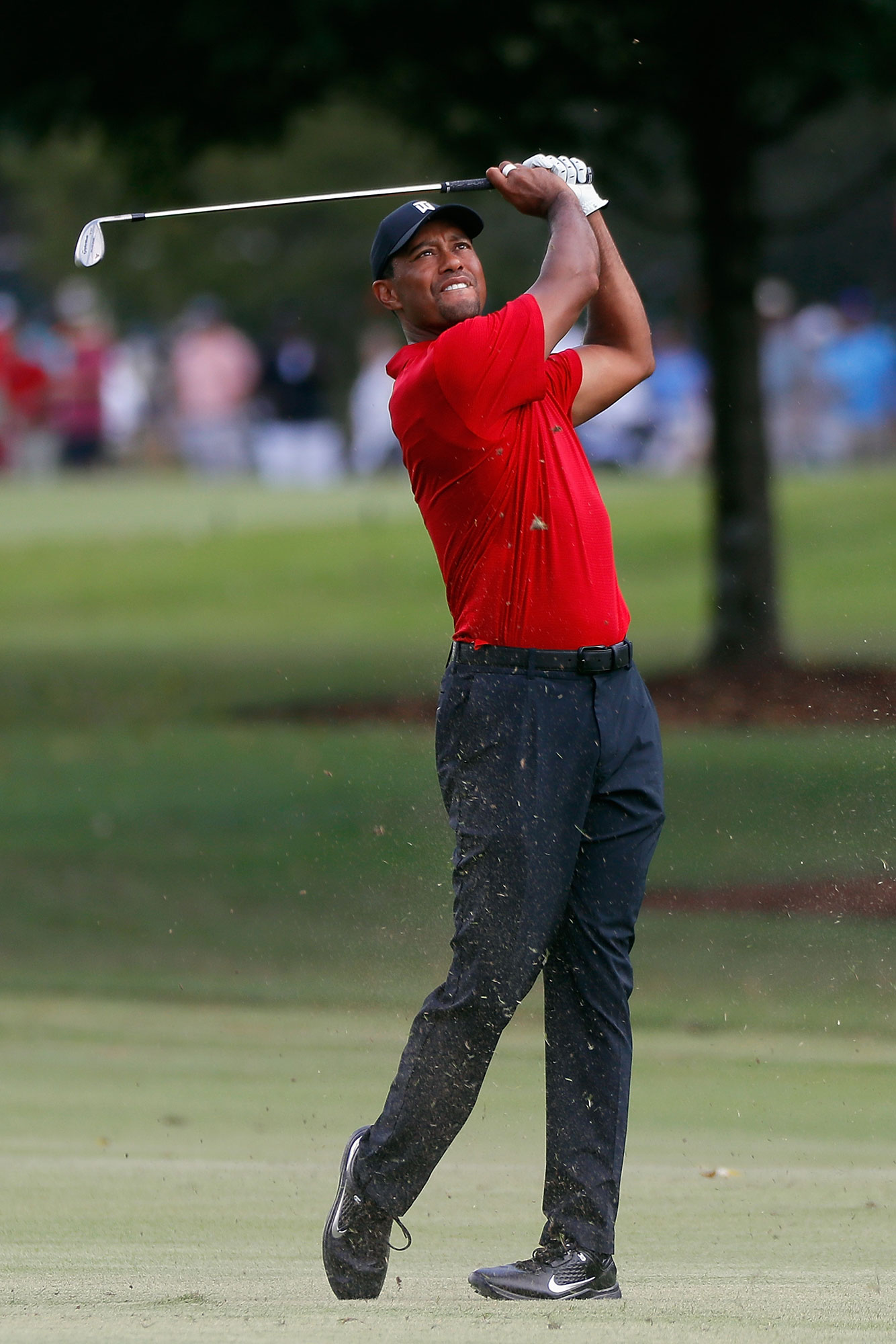 Tiger Woods chiếm spotlight tại vòng cuối cùng Tour Championship