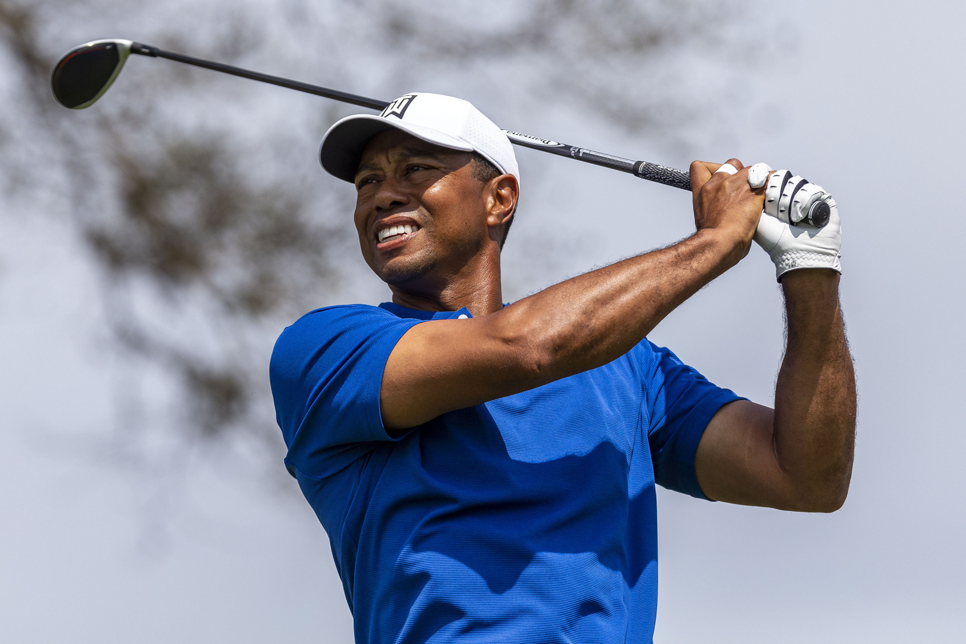Tiger Woods thắng trận đầu ở WGC-Dell Technologies Match Play