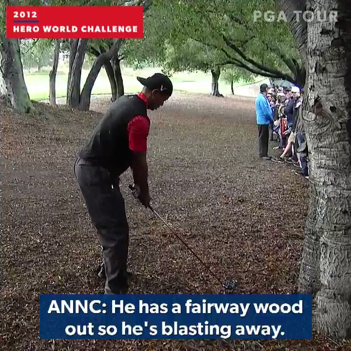 Học hỏi pha cứu bóng ngoạn mục của Tiger Woods