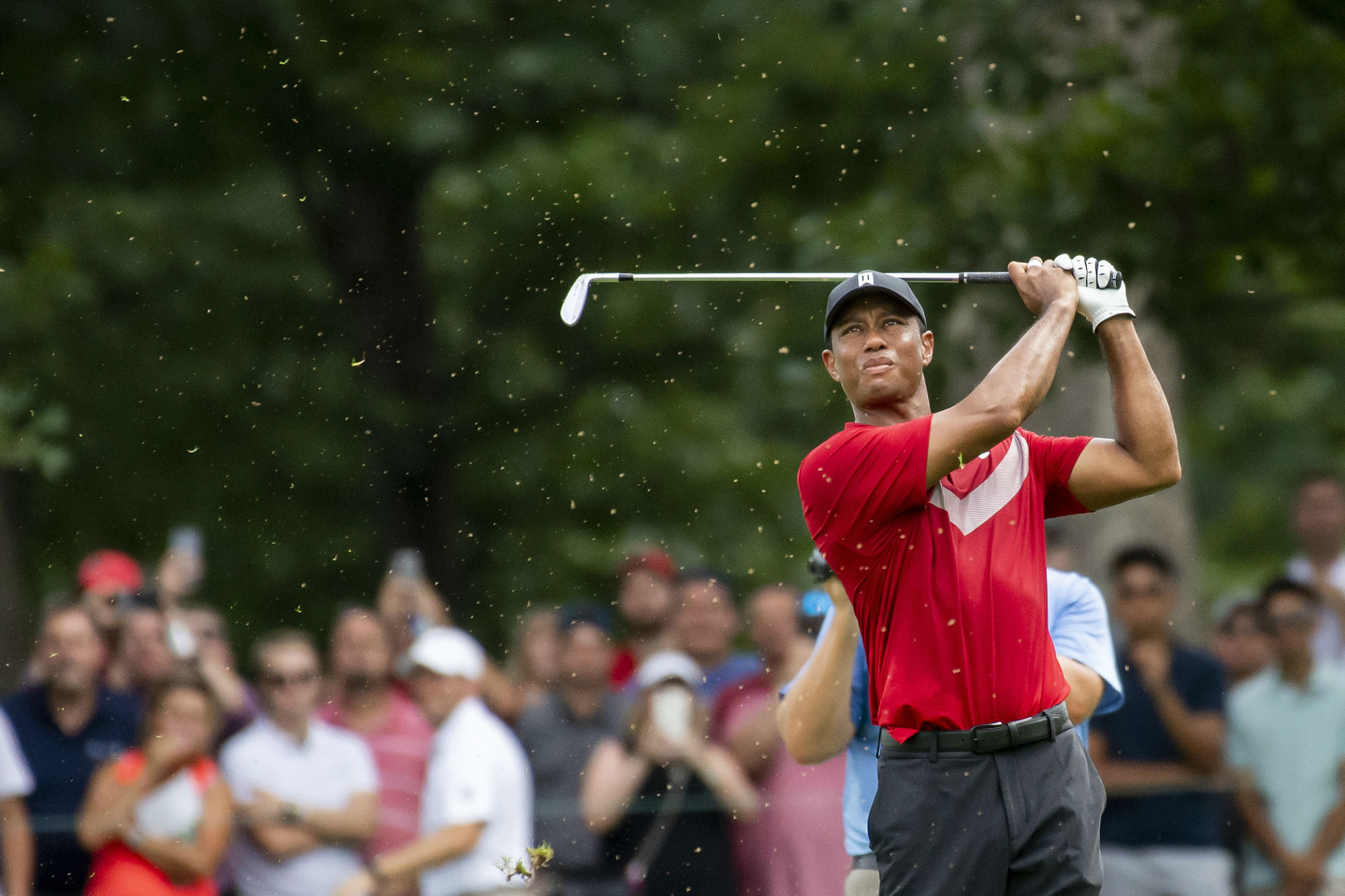 Tiger Woods vắng mặt ở giải PGA Tour đầu tiên trong năm 2020
