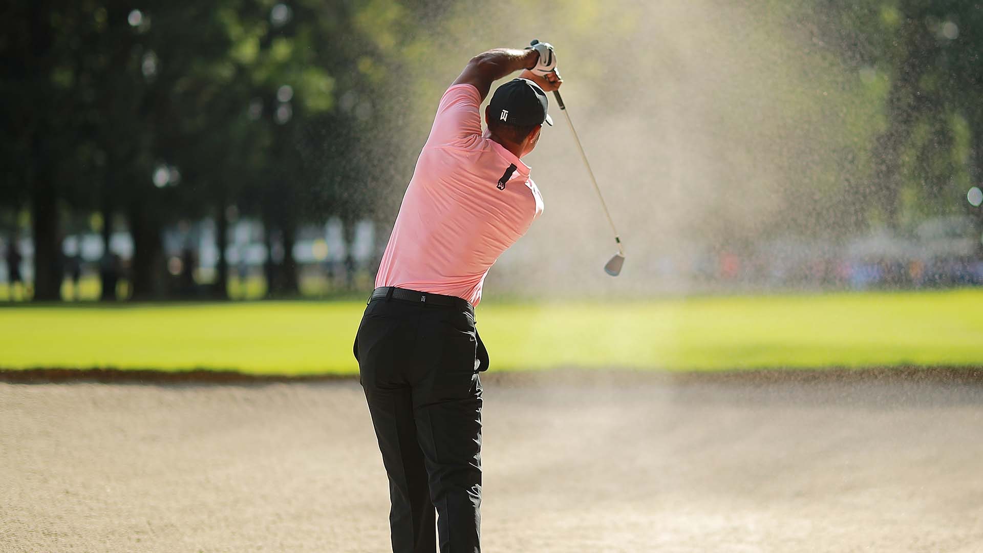 Cú bunker shot của Tiger Woods được Chapultepec Golf Club vinh danh