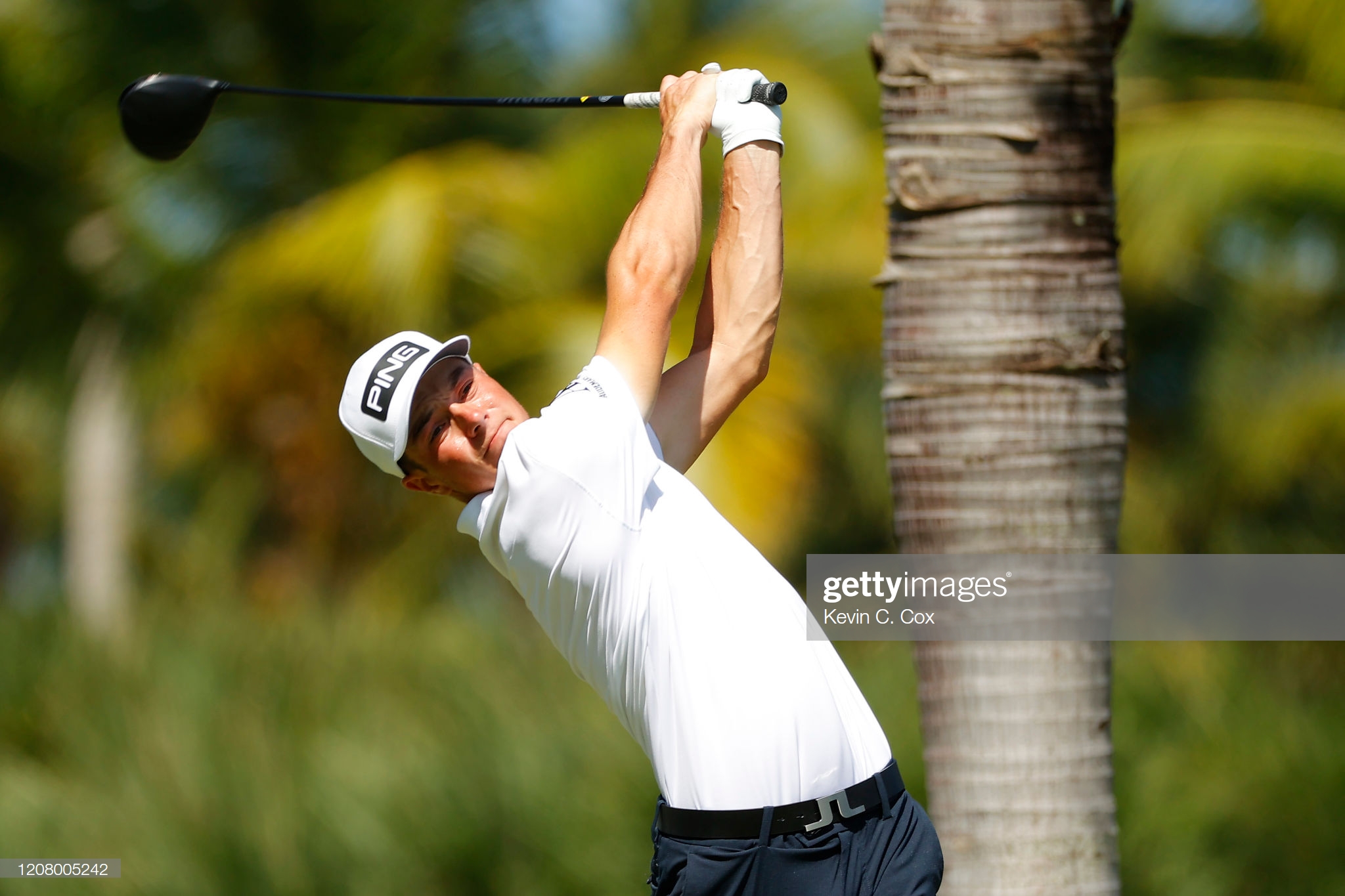 Tân binh Viktor Hovland đứng trước cơ hội giành danh hiệu PGA Tour đầu tiên