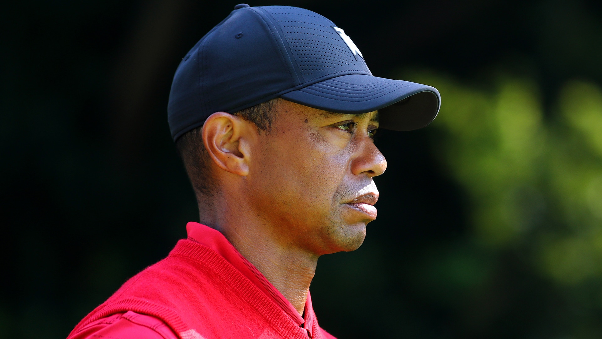 Tiger Woods sẽ không tham dự Arnold Palmer Invitational vào tuần tới