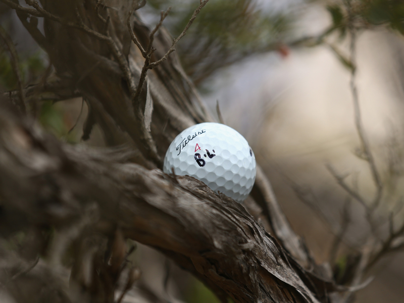 Khi bóng bị kẹt trên cây, Luật golf 2019 xử lý thế nào?