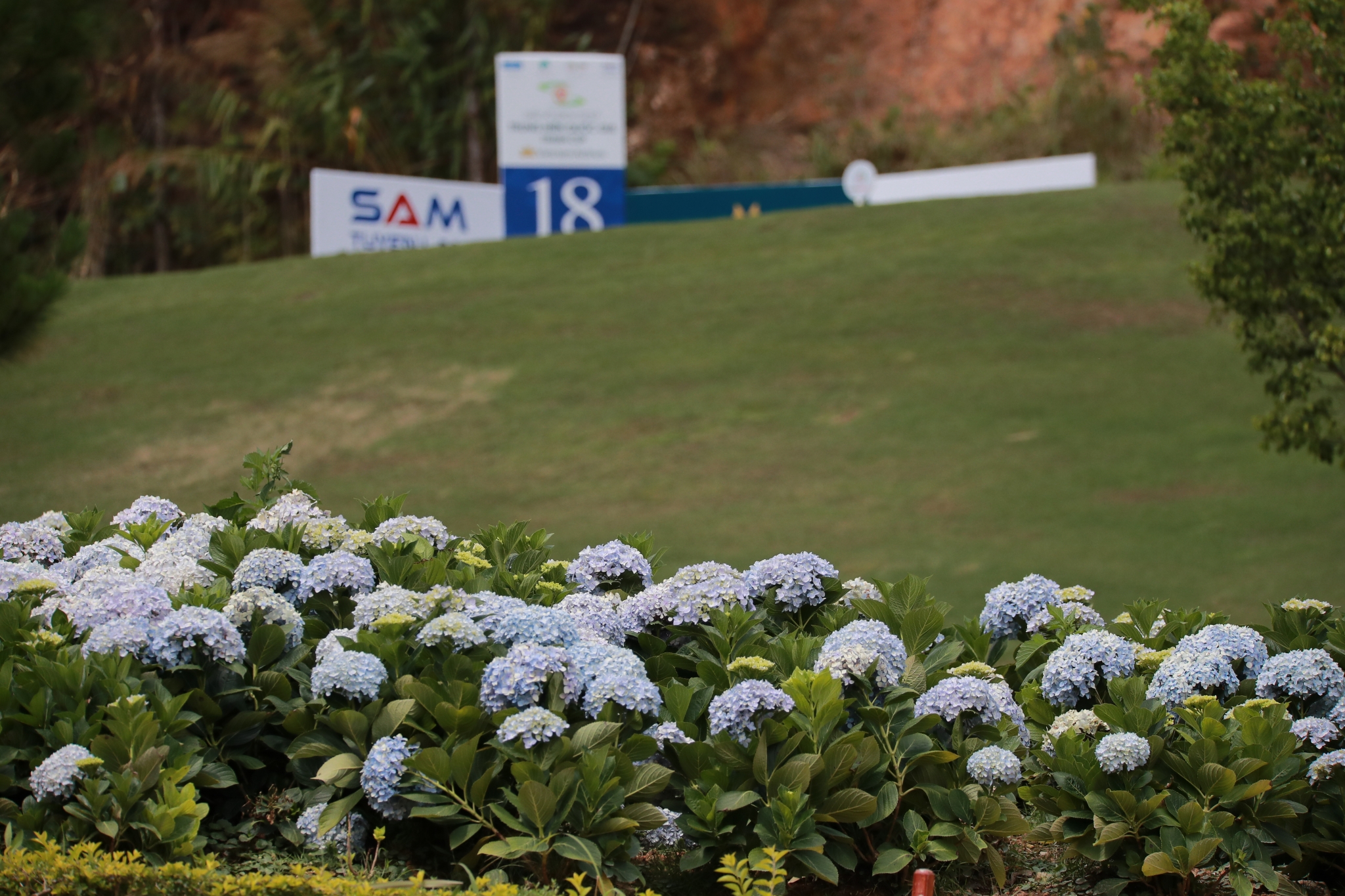 Ngập tràn sắc hoa tại SAM Tuyền Lâm Golf & Resort