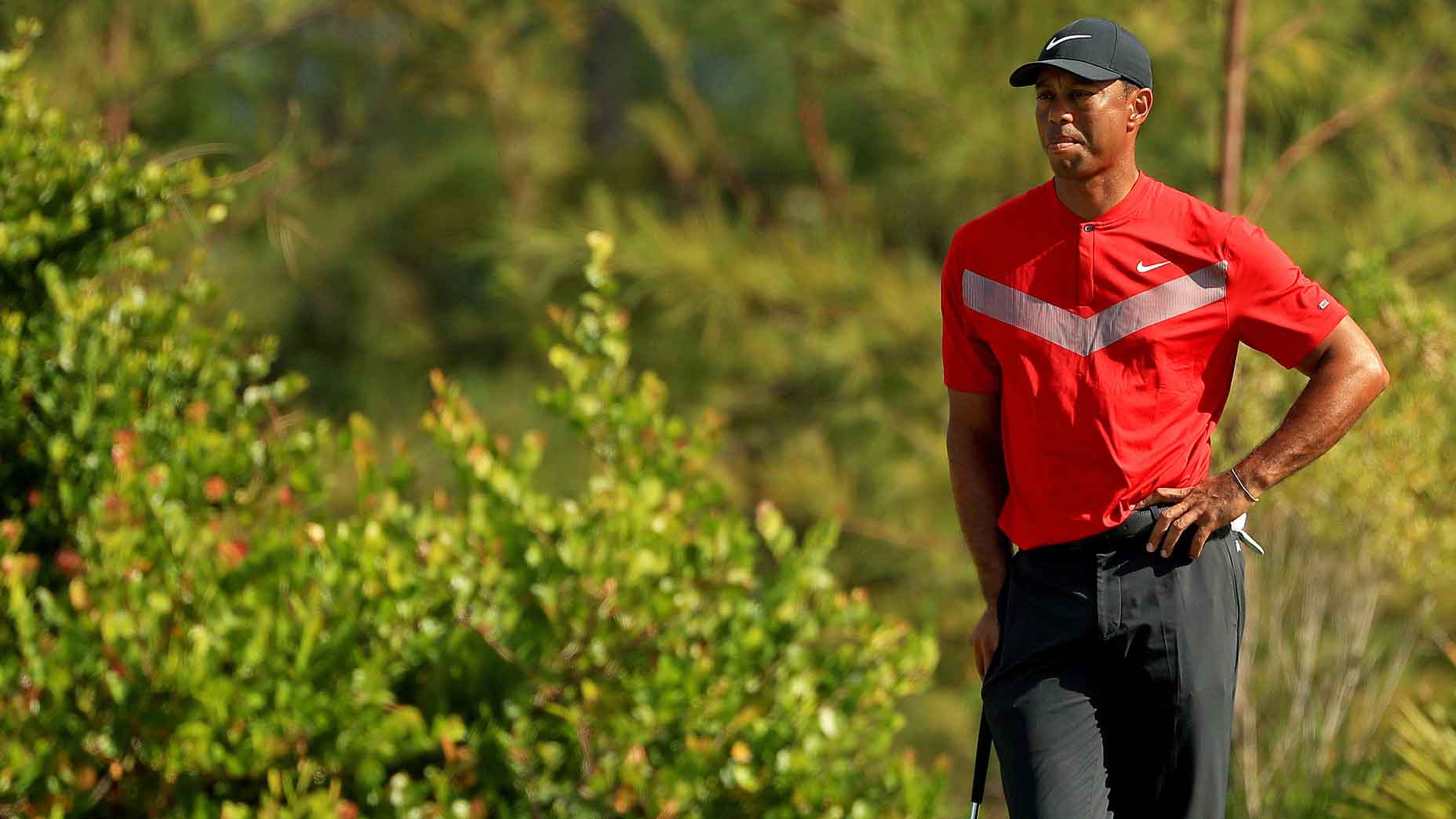 Tiger Woods sẽ tái xuất tại Hero World Challenge?